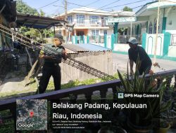 IMG-20250514-WA0028(1)